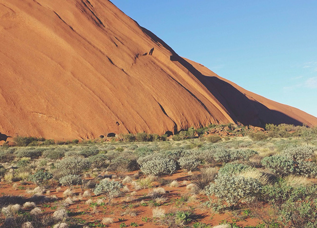 短信狂轰滥炸软件